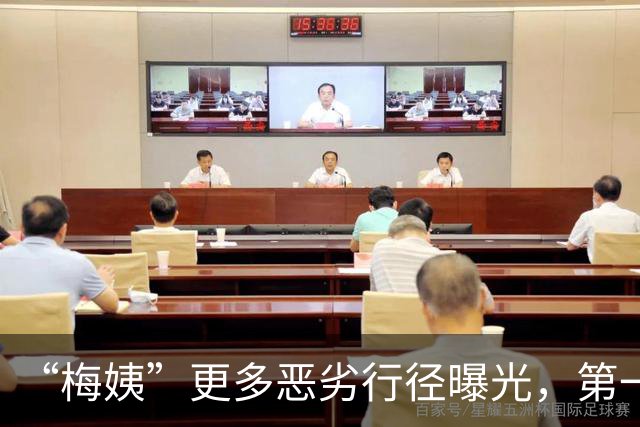 “梅姨”更多恶劣行径曝光，第一任丈夫讲述其恶毒，或牵扯案中案